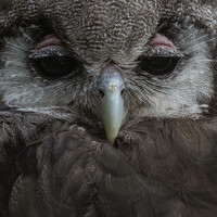 Markéta Mastešová - photographer