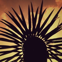 Тимофей Ведясов - photographer