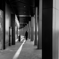 Светлана Вербицкая - photographer