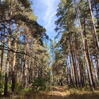 София Мирошниченко - photographer