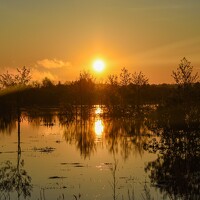 Овечкин Павел - photographer