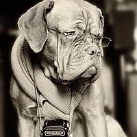 Olek Verze - фотограф