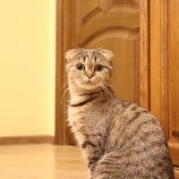 Екатерина Колмыченко - photographer