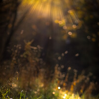 Владимир Барсуков - photographer