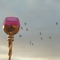 Jellab Abdellatif - photographer