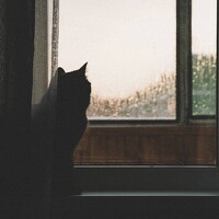 Надежда Бехер - photographer