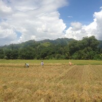 muhamad afdal adal - фотограф