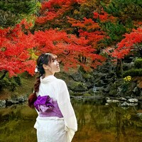 Ly Tu Ngan - photographer