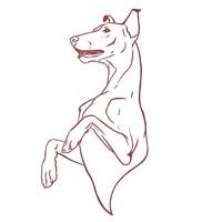 Елена Иванова - photographer