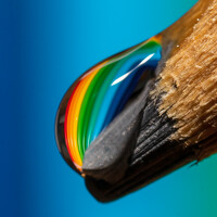 Gregor Kobilica - photographer