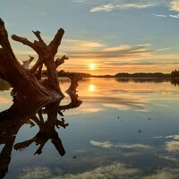 Александр Петров - photographer