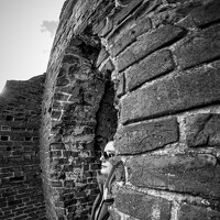 Яна Золотоверхая - photographer