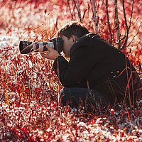 Дмитрий Антропов - photographer