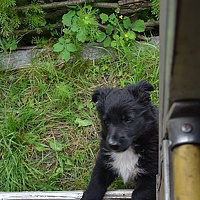 София Ланьо - photographer