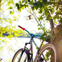 Антон Чепуркин - photographer