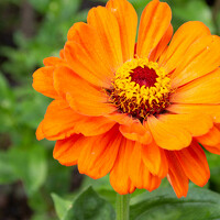 Марина Деткова - photographer