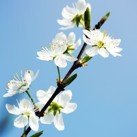 Илья Долгушев - photographer