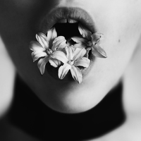 Egle Ellerman - photographer