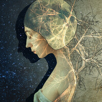 Янтарная Елена - photographer