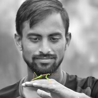 RAHUL SAHA - фотограф