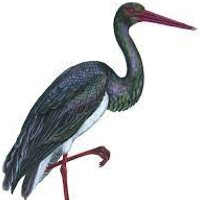 Даниил Ошейко - photographer