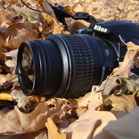 Николай Дмитриев - photographer