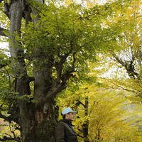 Hadi Hadipour - photographer