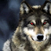 Михаил Волков - photographer