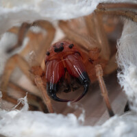 Юрий Говорков - photographer