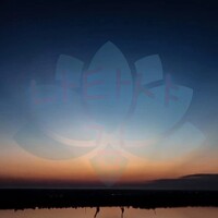 Kim Natasha - photographer