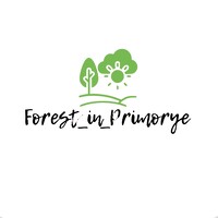 Татьяна Бухтиярова - photographer