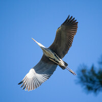 Алексей - фотограф