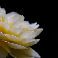 Radovan Dziak - photographer