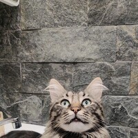 Radoslav Stefanov - photographer