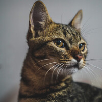 Lương Trần - photographer