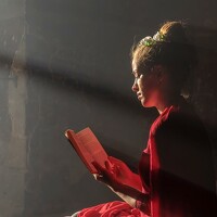 MOJDEH NOROUZI - фотограф