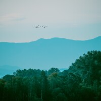 Светлана Козлова - photographer