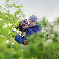 Лактионов Анатолий - photographer