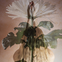 Татьяна Мудренова - photographer