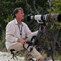 Елисеев Дмитрий - photographer