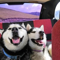 Mihail Naumenko - photographer