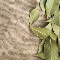 Синегубова Ольга - photographer