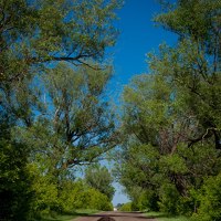 Владимир Бессолицын - photographer