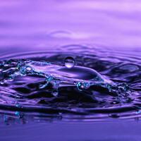 Кулемин Дмитрий - photographer