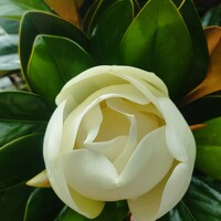 Наталья Билай - photographer