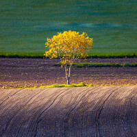 Johann Piber - photographer