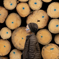 Natasha Bogomolova - photographer