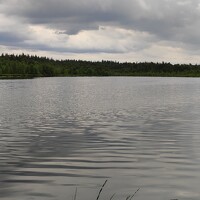 Olga Dz - photographer