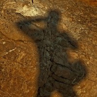 ezra tobak - photographer