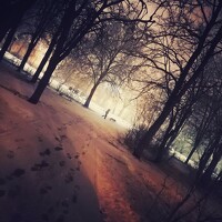 Андрей Занкович - photographer